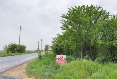 Vidra, Sat Cretesti - 5