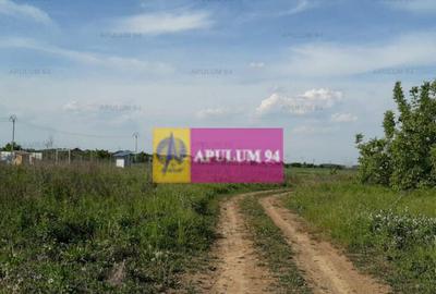 Teren de 524 mp, în 1 Decembrie - 3