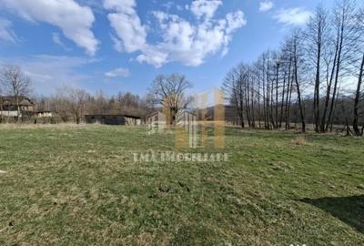 Teren în Tohănița - 1