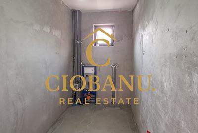 Casa de vanzare zona Damila-Capsunarie - 16