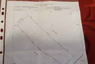 Teren Intravilan Draganesti-Olt 1649mp - 3