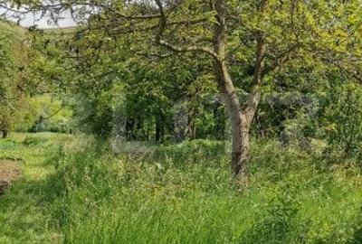 Casa renovabila de 127 mp, cu 2100 mp teren, localizata central in Luna de Sus - 3