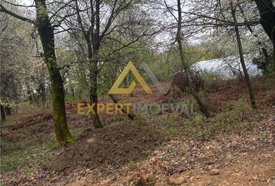 Teren de 1000 mp, în Groși - 1