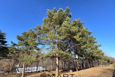 Teren intravilan Cisnadioara - 1