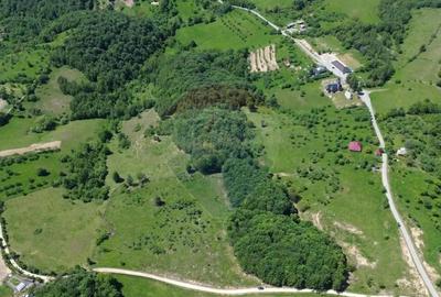 Teren de 12700 mp, în Codru Butesii - 3