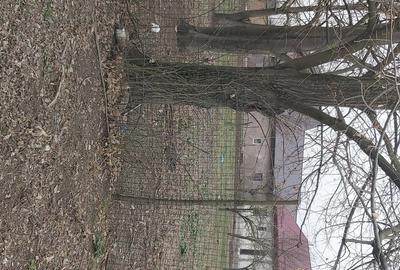 Vand casa cu curte in jud Calara?i - 10