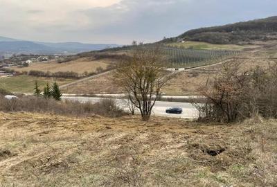 Teren de 1525 mp, în Jelna - 2