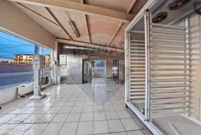 Cladire individuala 243 mp de inchiriat pe strada Mioritei - 16