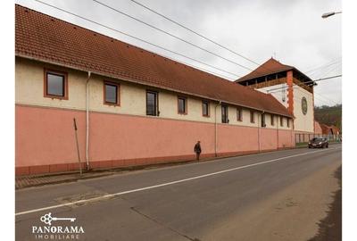 Fabrică de vânzare în Mediaș -Activ industrial cu istorie si potential - 3