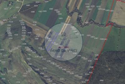 Teren de 38000 mp, în Borșa - 8