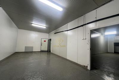 De inchiriat Camere Frigo Congelare/Refrigerare-Suprafete... - 2