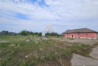 Teren de 10000 mp, în Periferie - 4