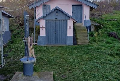 Sarateni, Vaslui - 6