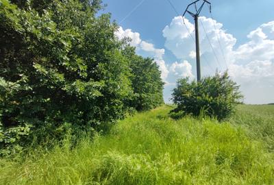 Corbeanca-teren-PUZ-proiect-avans cu rest de plata in 5 ani - 11