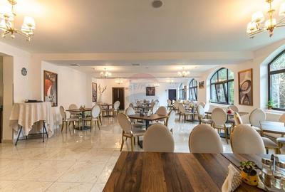 HOTEL "CERBUL CHALET" de vanzare/ zona Rasnov-Paraul Rece HOTEL "CERBUL CHALET" de vanzare/ zona Rasnov-Paraul Rece - 22