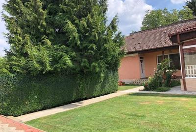 Casă cu 7 camere cu Teren 1100 Mp în Soarelui - 9