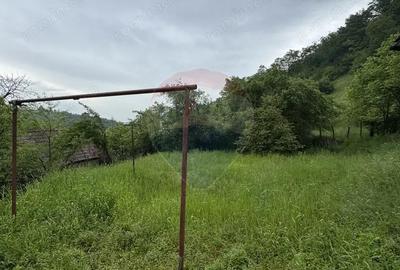 Casă cu 4 camere cu Teren 912 Mp în Sighișoara - 10