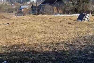 Teren de 2782 mp, în Roșu