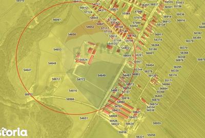 Teren de 5000000 mp, în Slobozia Ciorăști - 7