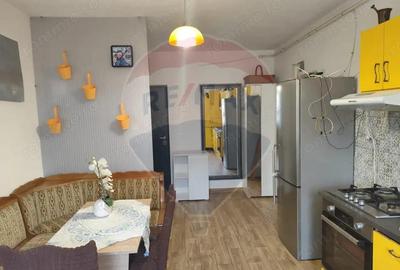 Apartament cu 2 camere, de vanzare, in zona Ferneziu (Baia Mare) - 3
