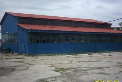 TEREN si constructii industriale-fost abator Mandresti - 14