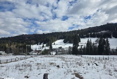 Teren de 15000 mp, în Șaru Dornei - 6