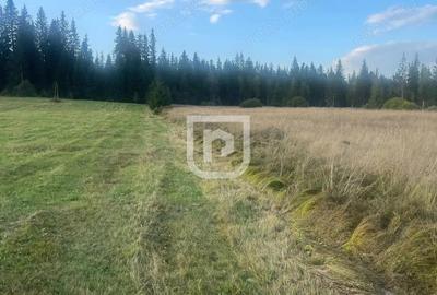 Teren intravilan Poiana Stampei Teren intravilan Poiana Stampei - 1