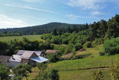 Casa Sacele, pozi?ionata intr-o zona linistita - 4