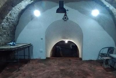 Spațiu comercial, de 45 mp, în Gară - 7