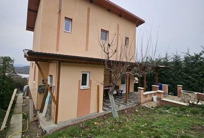 Casă cu 2 camere în Podgoria - 18