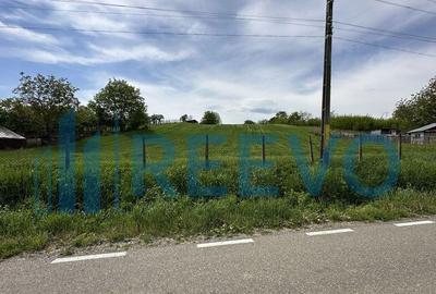 Teren de vanzare, Sat Valea Mare, Com. Ro?iori, Bacau - 12