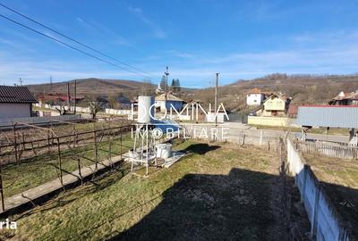 Casă cu 4 camere în Bulbuceni - 6