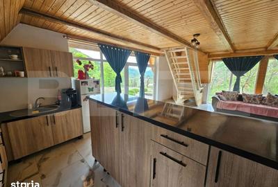 Casă cu 4 camere cu Teren 4565 Mp în Avram Iancu - 7