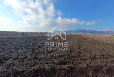 Teren de 5200 mp, în Central