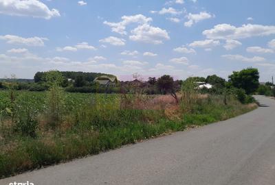 Teren de 16500 mp, în Vărăști - 9