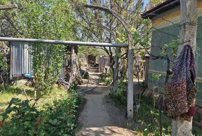 Casă cu 5 camere cu Teren 3937 Mp în Ianca - 14