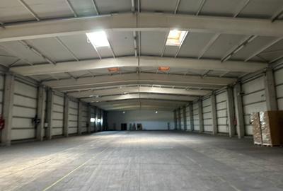 Spatiu depozitare - logistica 2.519 mp si birouri Chiajna A1 - 10