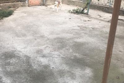 Casă cu 1 camere cu Teren 100 Mp în Central - 2