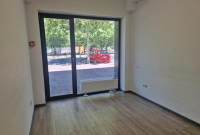 Spatiu comercial individual - Baba Novac - 4