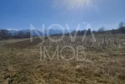 Teren agricol extravilan de 2100 mp, în Arpașu de Sus - 2