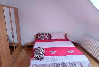 Apartament cu 2 camere decomandat, mobilat în Vasile Aaron - 3