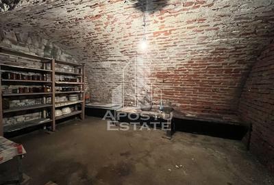 Casa individuala , 3 camere,acces auto,crama,garaj,teren 1437,Masloc - 9