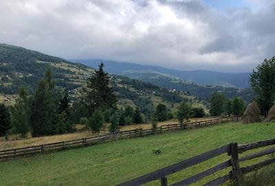 Teren Construcții intravilan de 1604 mp, în Horea - 1