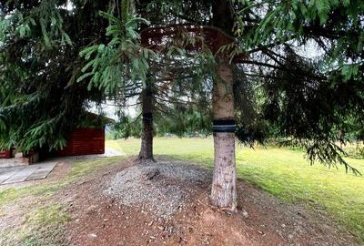 Casă individuală cu 4 camere cu Garaj în Beliș - 32