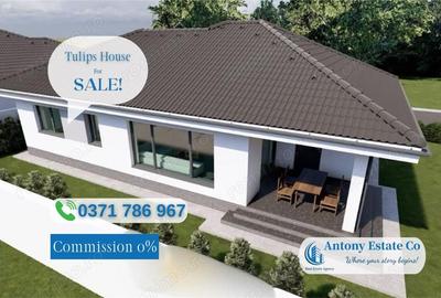 Casă cu Teren 500 Mp în Sântandrei - 1