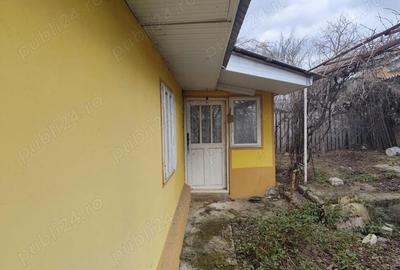 Casă cu Teren 4800 Mp în Stoișești - 2