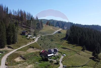 Casă individuală cu 4 camere cu Teren 423 Mp în Nord-Est - 13