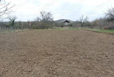 Casă cu 4 camere cu Teren 4000 Mp în Izvoru Bârzii