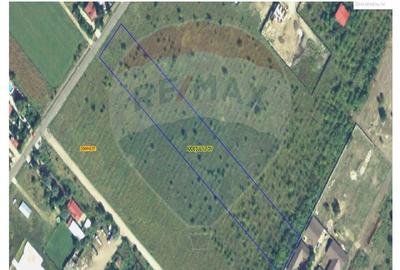 Teren agricol intravilan de 10000 mp, în Domnești - 1
