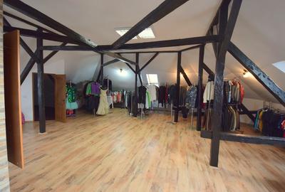 Vila individuala in oras - zona Steaua - 12